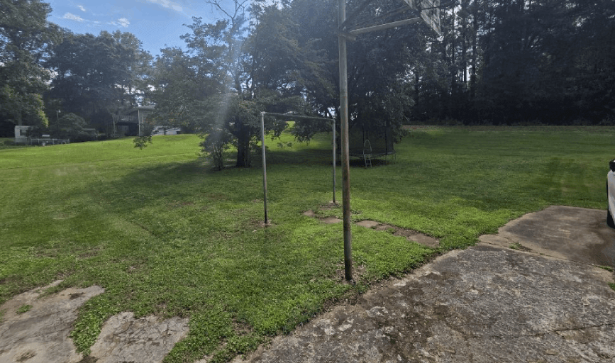 Castle Tree and Lawn